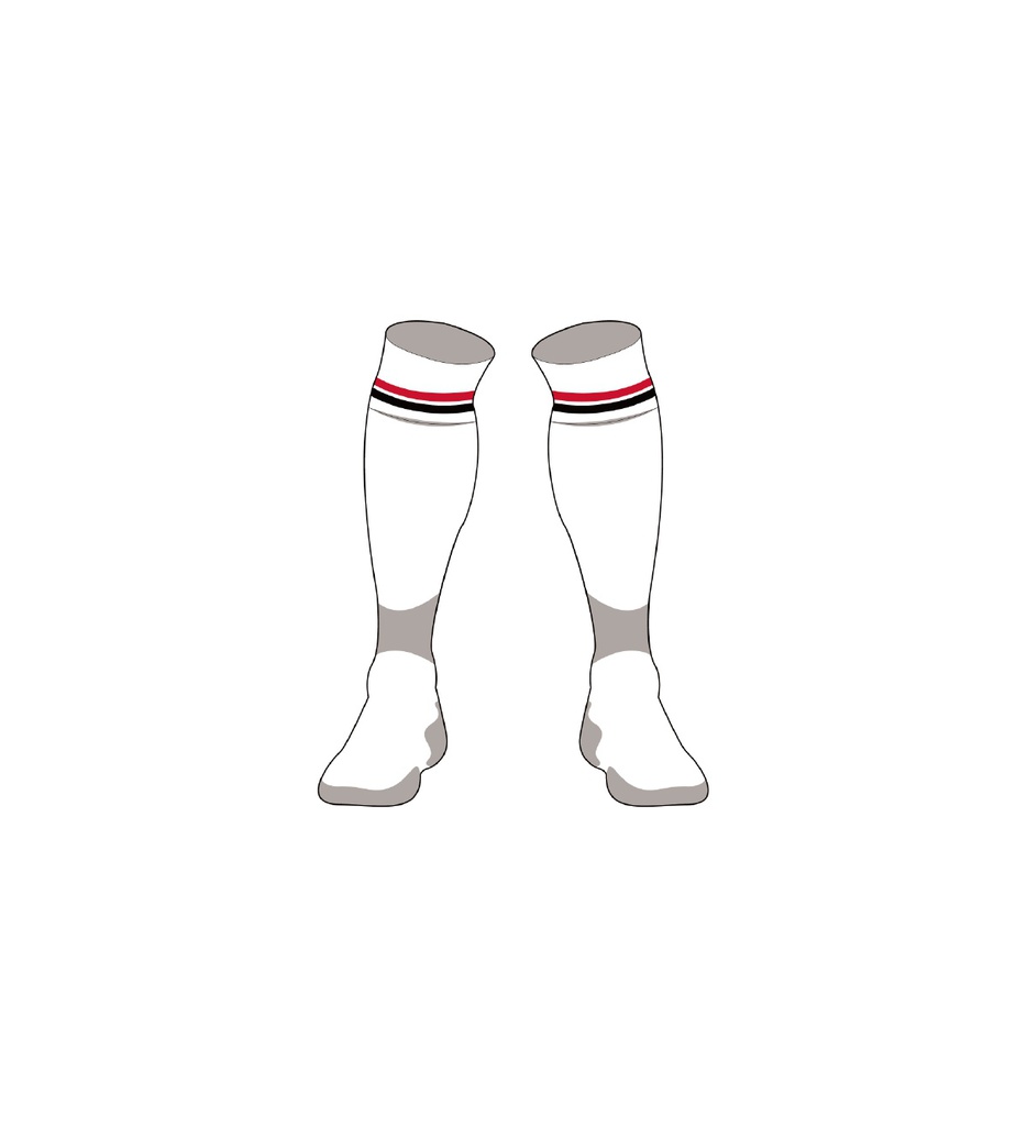 DCSL Goalkeeper Socks - HOME